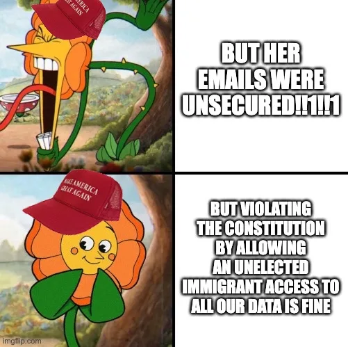 A four-panel meme using the 'Flower' template from 'Plants vs. Zombies'. Top-left: a cartoon flower with a red 'MAKE AMERICA…