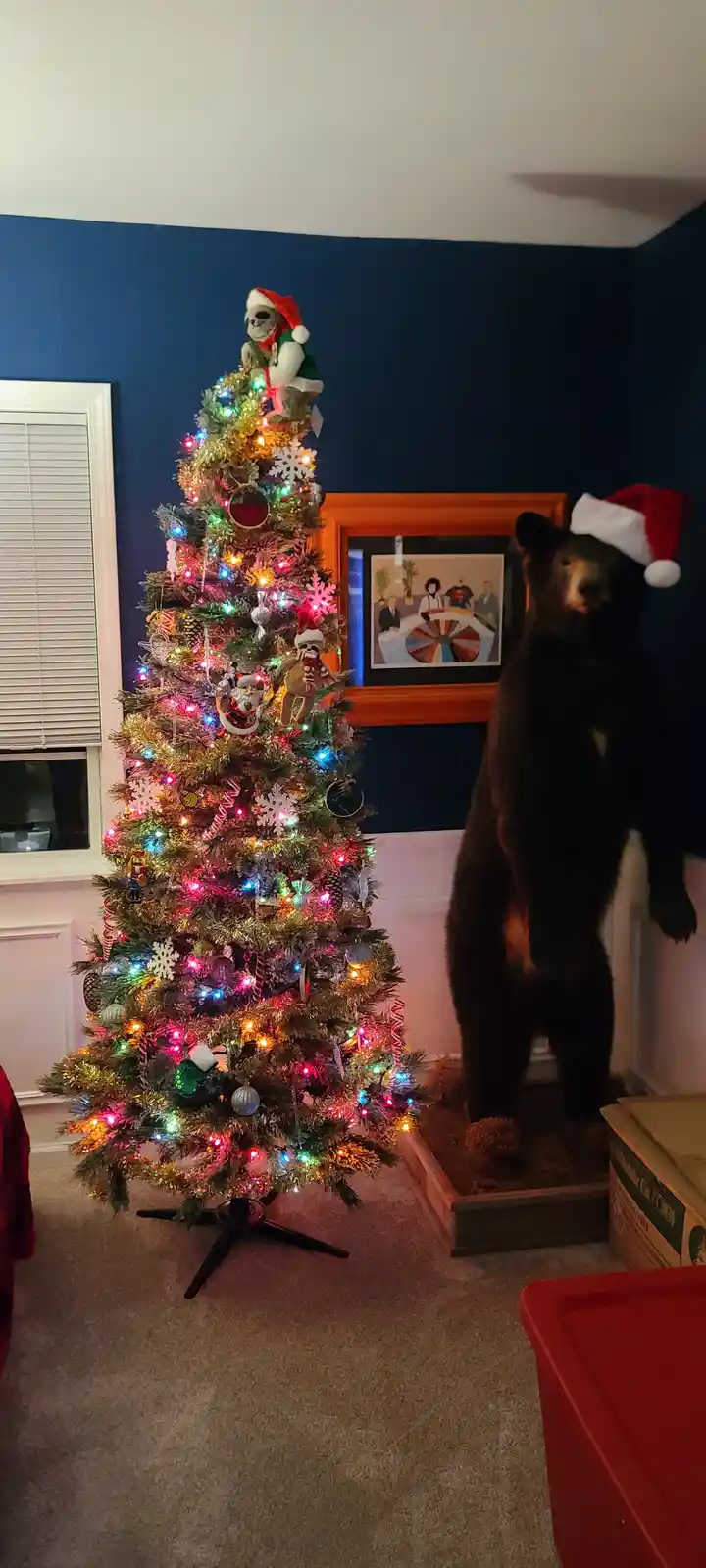 Sloth-tastic Adventure Awaits!