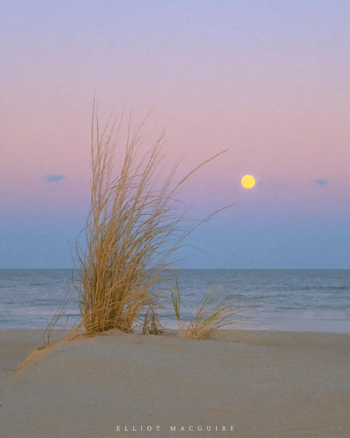A serene beach scene at dusk or dawn with a large, glowing yellow moon visible in a pastel pink and blue sky. In the…