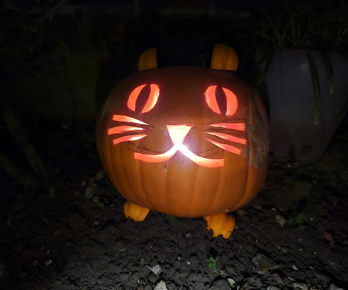 Get Ready for Pumpkin Season 2024!