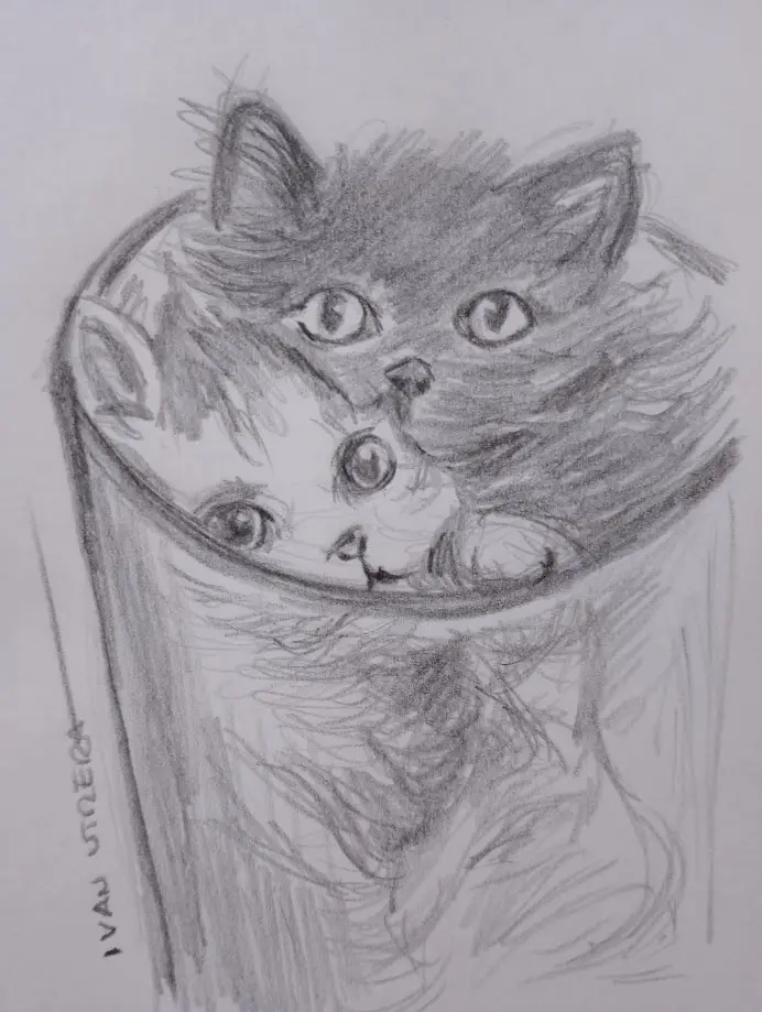 A pencil sketch shows a fluffy cat's head peeking out from the top of a cylindrical cup, with another smaller cat's face…