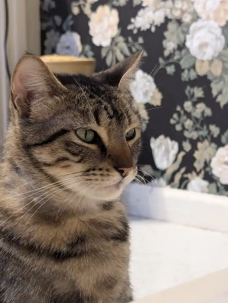 Engaged in Some Serious Plotting and Scheming