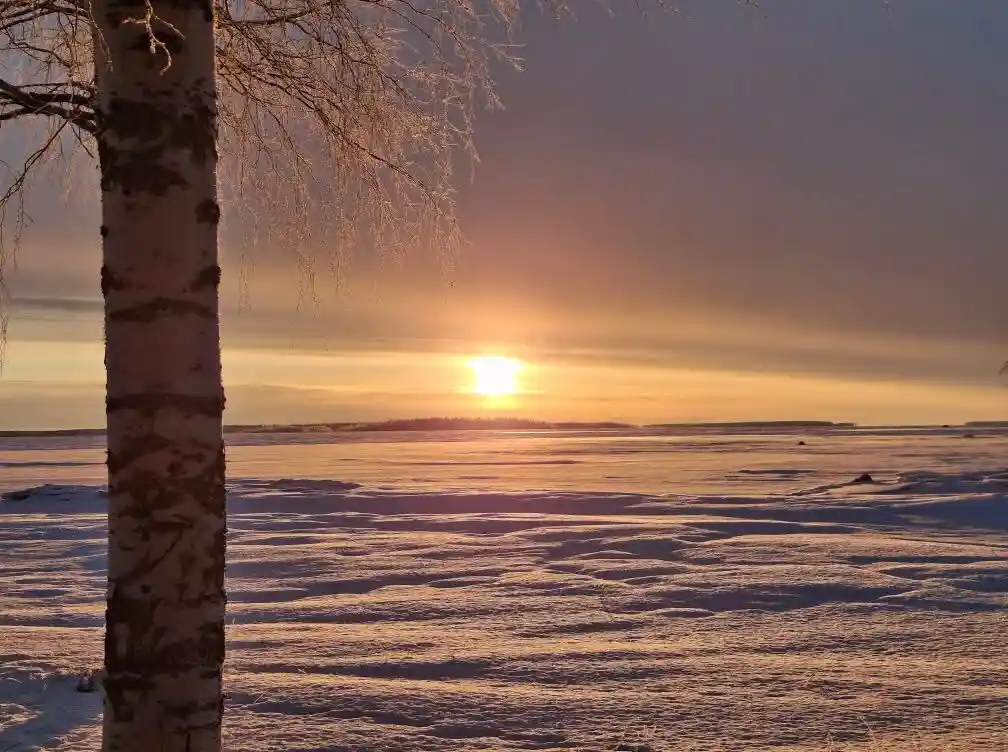 A serene winter landscape featuring a birch tree with frost-covered branches on the left, a vast snowy field stretching to…