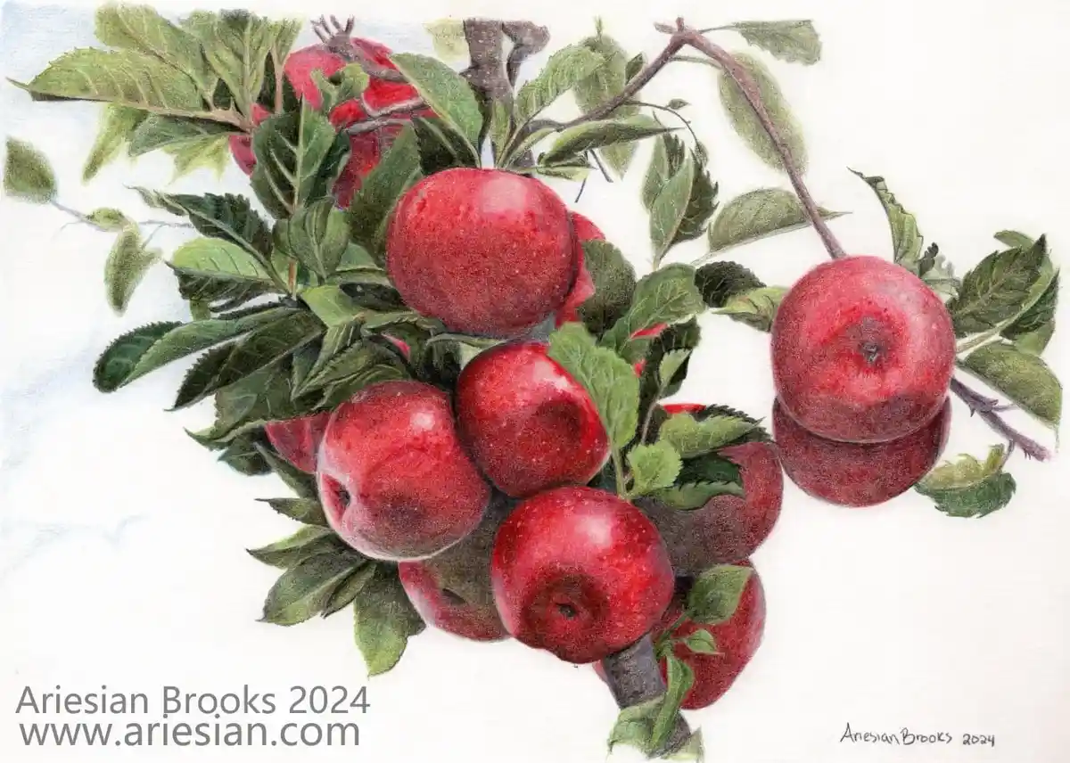 The Simple Charm of Apples