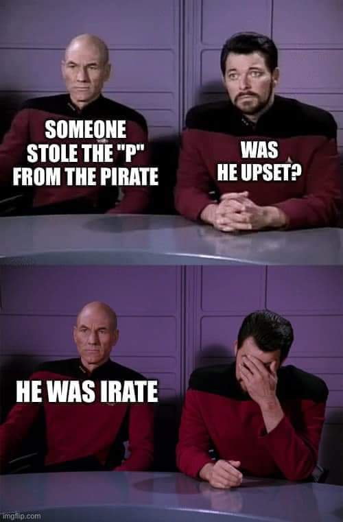 Two panels show Captain Picard and a crewman in Starfleet uniforms sitting at a table. In the top panel, Picard says…