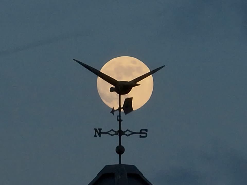 a silhouette of a bird-shaped weathervane is centered against a large, bright full moon in a dusky sky. The weathervane has…