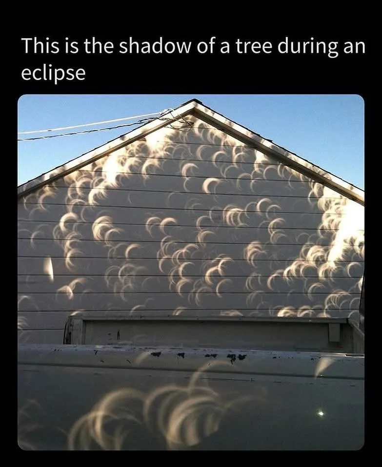 The image shows the side of a house with light-colored siding, where numerous crescent-shaped shadows are cast across the…