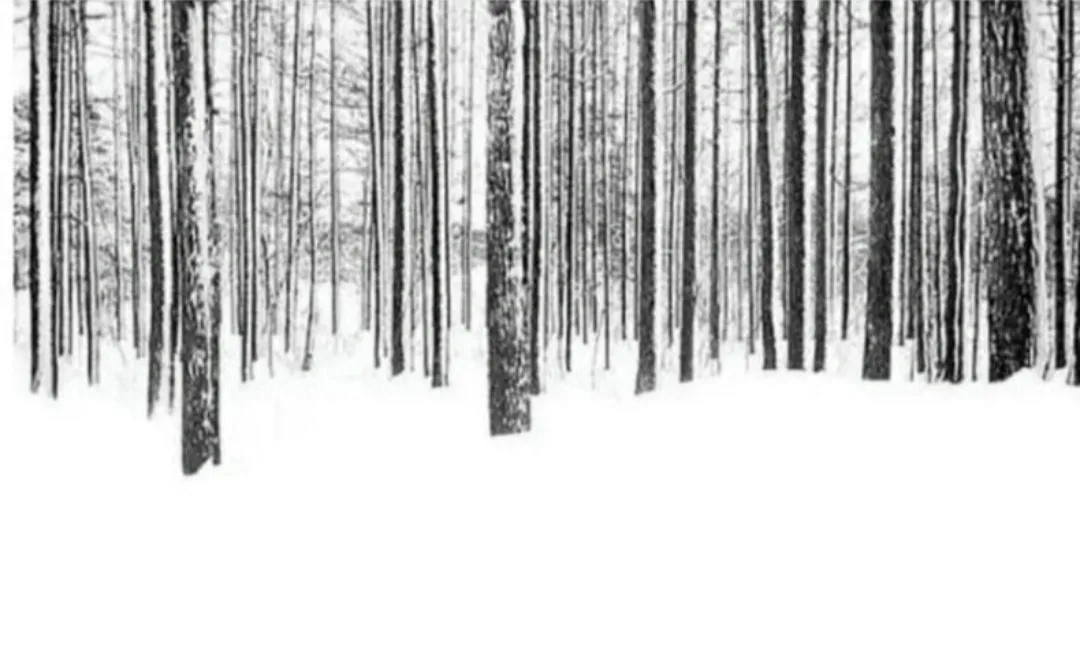 The Winter Barcode: A Seasonal Code