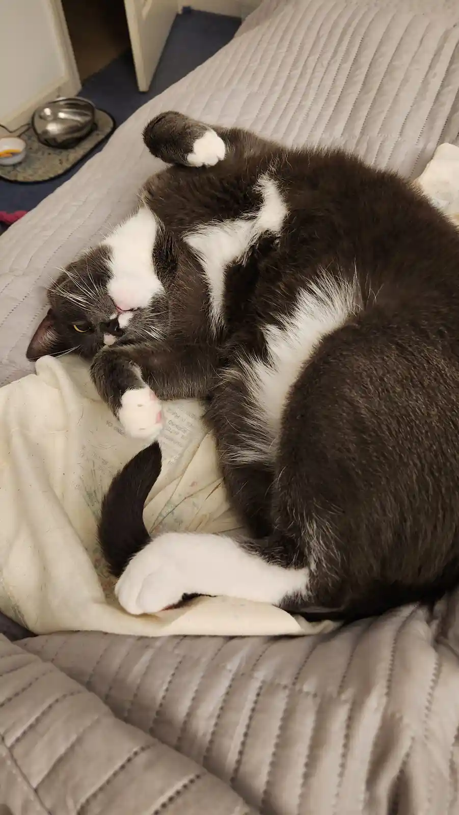 Meet My Precious Baby Boy, Peter