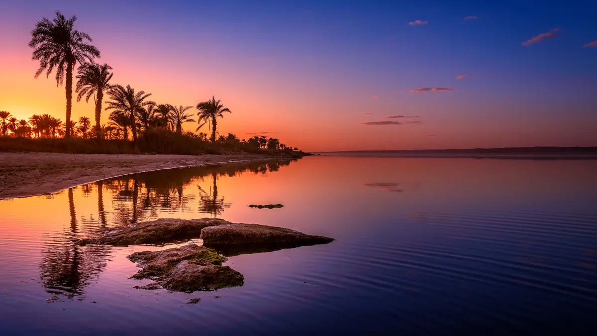 A sultry sunset over palm trees evokes Miami Vice memories, but no Don Johnson in sight. This Egyptian oasis lies on the…