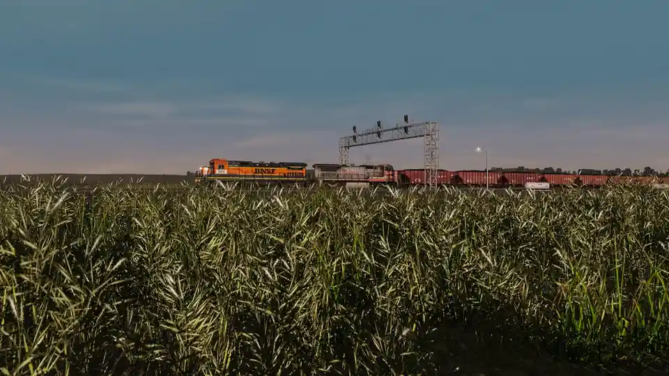 A train with an orange locomotive marked 'BNSE 564' and red freight cars travels through a field of tall grass at dusk. The…