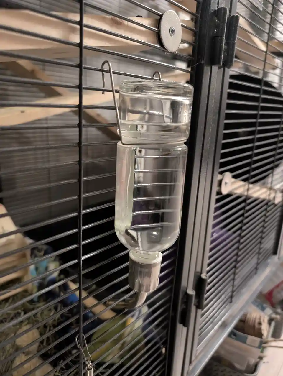A clear glass water bottle with a metal spout hangs inside a black wire cage, partially filled with water. The overlaid text…