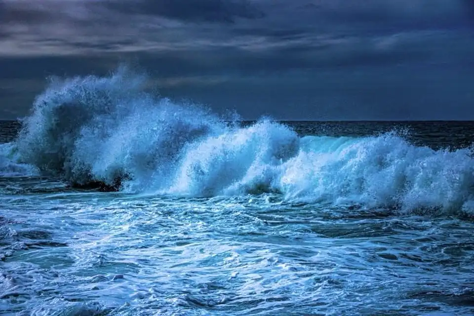 Catch the Wave of Fun