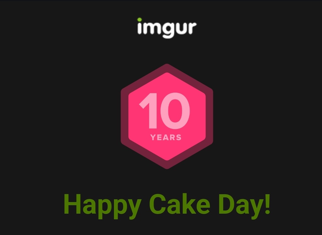Celebrating Cake Day in Style!