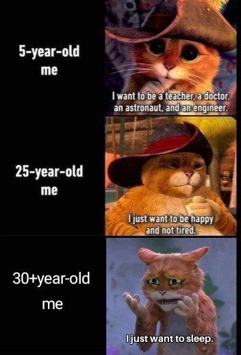 A three-panel meme featuring the same orange cat in different expressions and hats, representing life stages. The top panel…