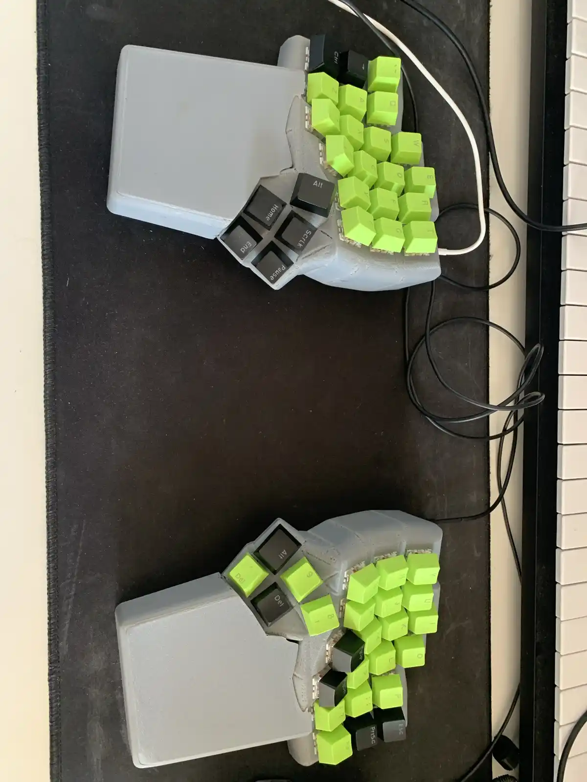 The Mighty Dactyl: A Closer Look