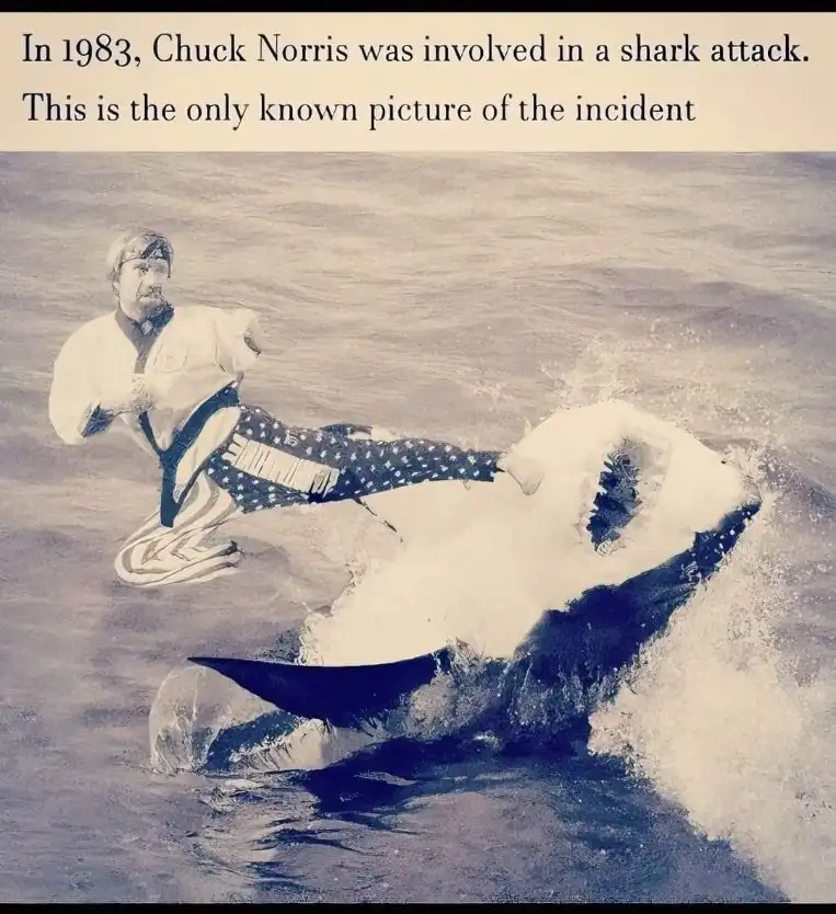 A sepia-toned image shows Chuck Norris in a martial arts stance, delivering a high kick to a shark that is partially out of…