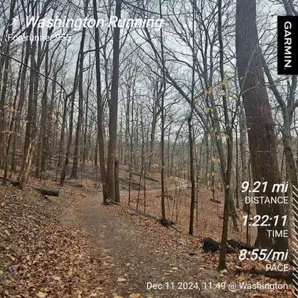 It's time for the daily jog!
