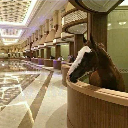 Exploring Dubai's Opulent Horse Stable: A True Luxury Experience