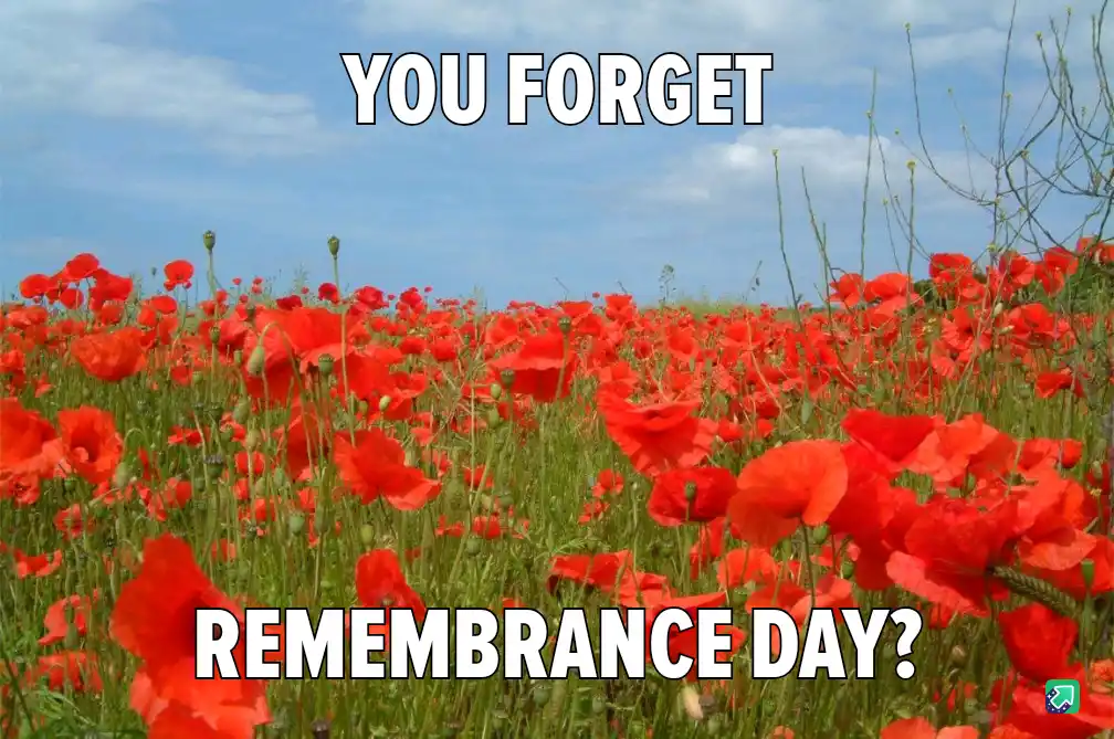 In Remembrance: Lest We Forget
