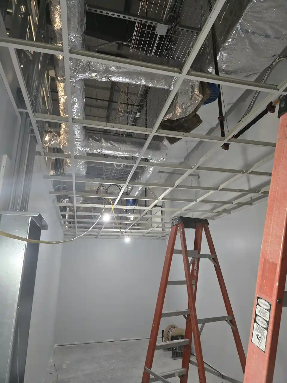 Exploring Unique Ceilings at CBS: A Visual Journey
