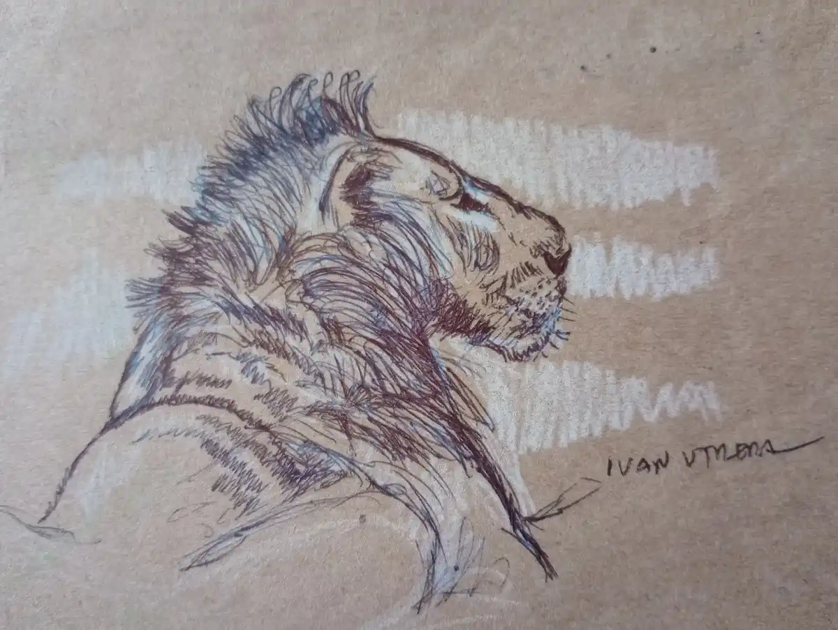 A sketch of a lion's head in profile, drawn with dark lines and light shading on textured brown paper, with the artist's…
