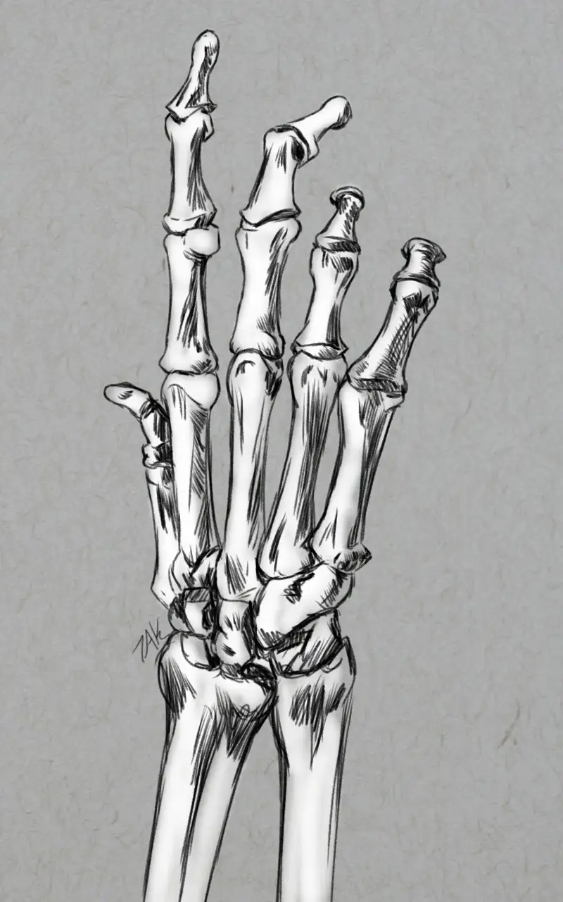 Daily Sketch Challenge: Mastering Hand Studies