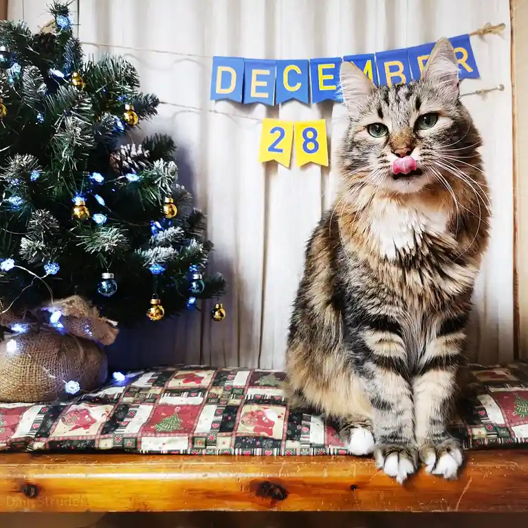 Mark Your Calendars: December 28