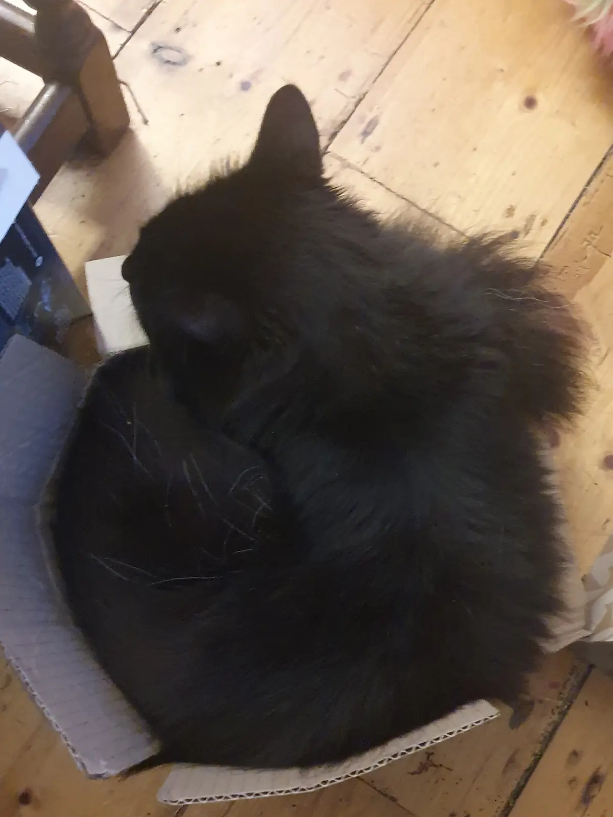 He Fits Perfectly in Every Way