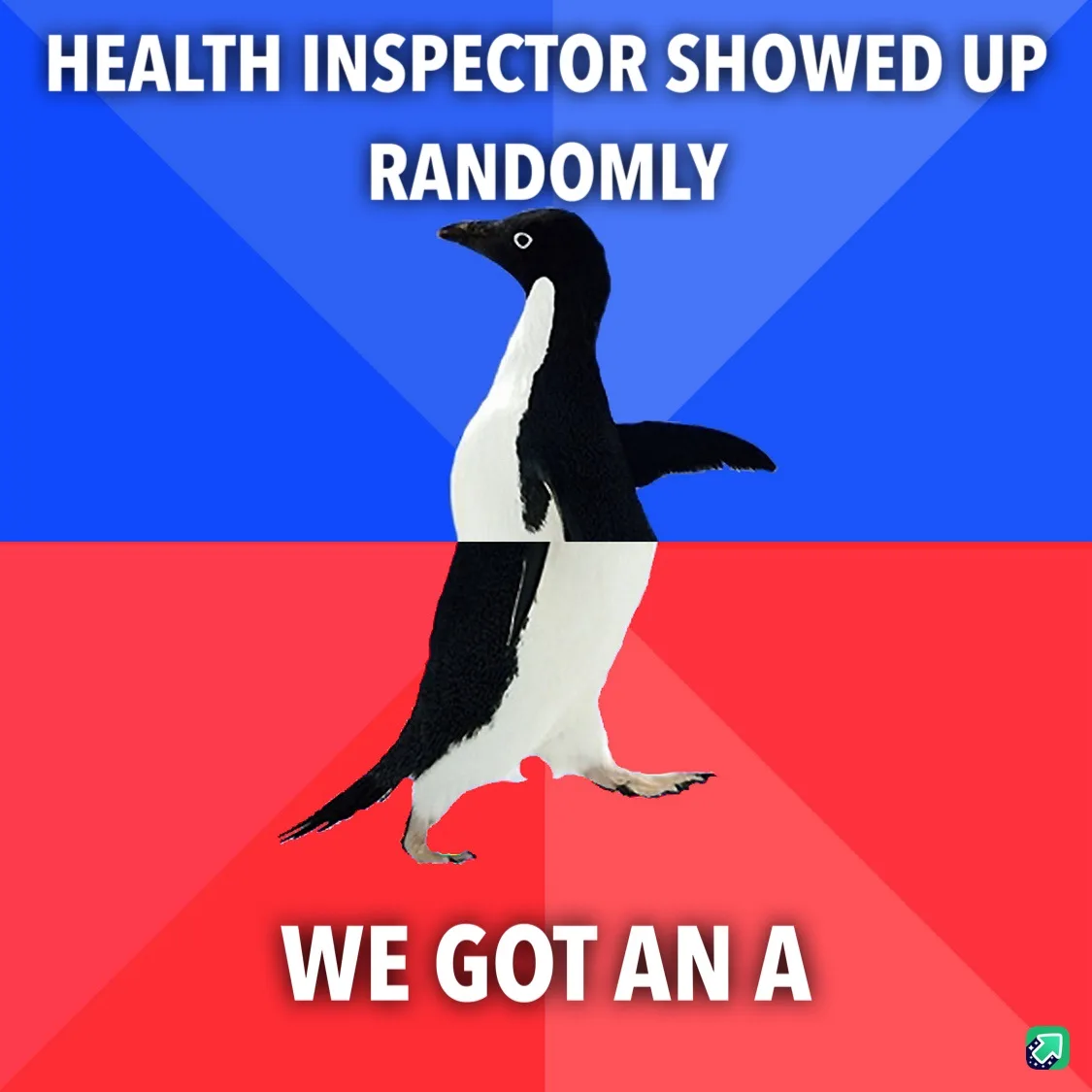 A penguin stands centered against a blue and red background, with the text 'HEALTH INSPECTOR SHOWED UP RANDOMLY' at the top…