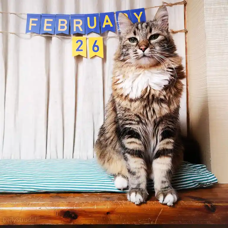 Mark Your Calendars: February 26