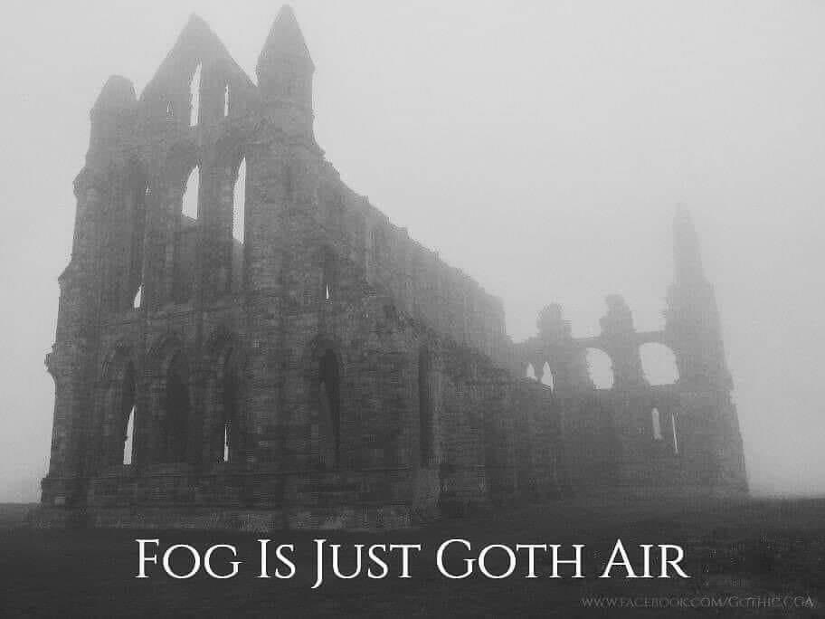A black-and-white photograph of the misty ruins of a gothic cathedral, partially obscured by thick fog. White serif text…