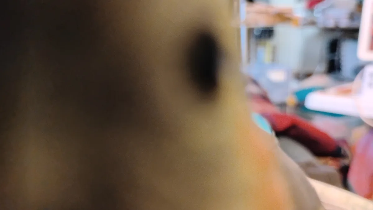A blurry, extreme close-up photo focuses on a dark, circular object on a light brown surface, with an indistinct, cluttered…