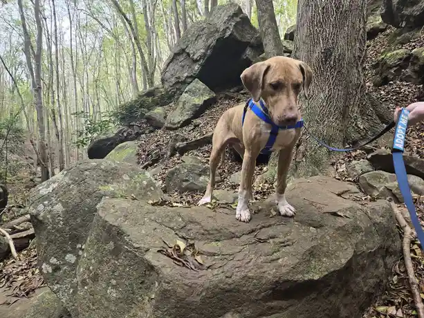 The Adorable Butters