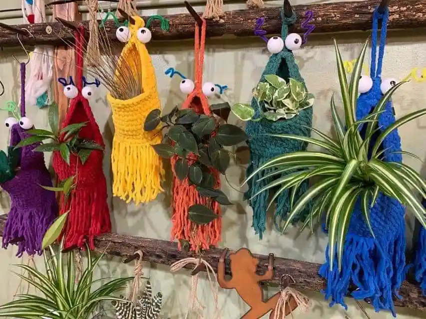 multiple colorful macrame plant hangers hang from wooden branches, each adorned with googly eyes and small antennae-like…