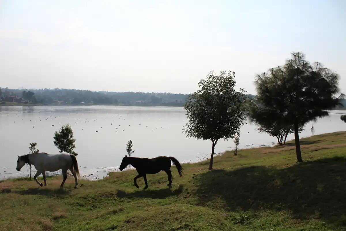 The Serene Lago de Guadalupe Awaits