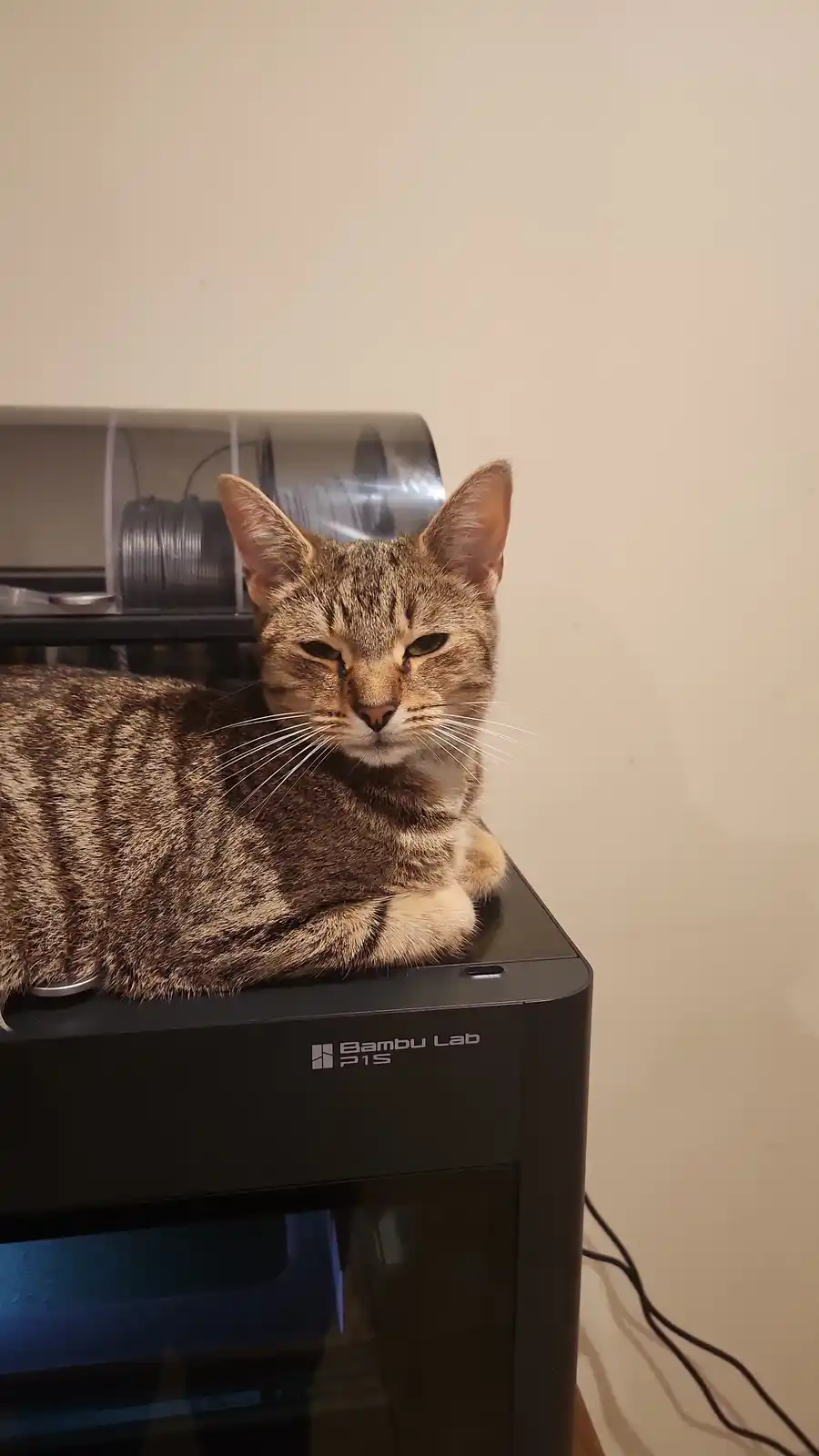 A tabby cat with a grumpy expression is lying on top of a black Bambu Lab P1S 3D printer, which has spools of filament…