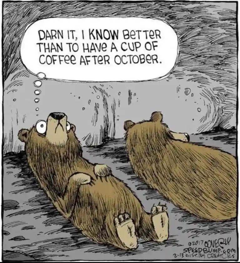 Two cartoon bears are shown in a cave-like setting. One bear is sitting upright with a shocked expression, looking upward…