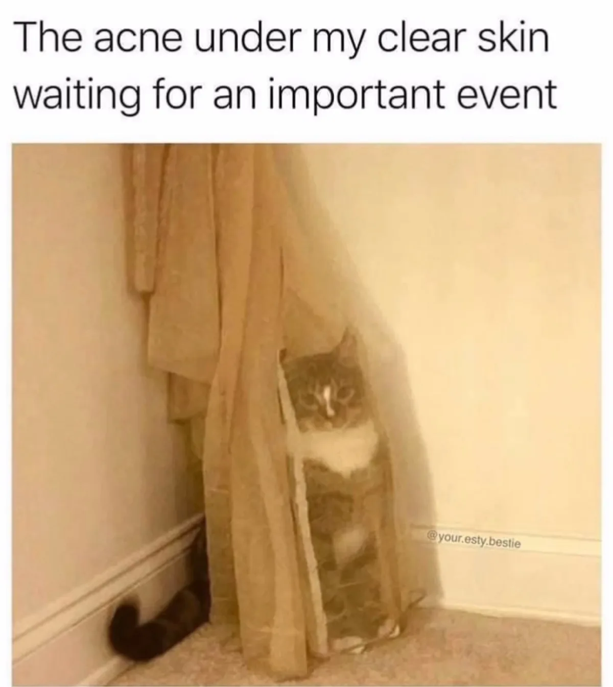 So, What's the Next Move?