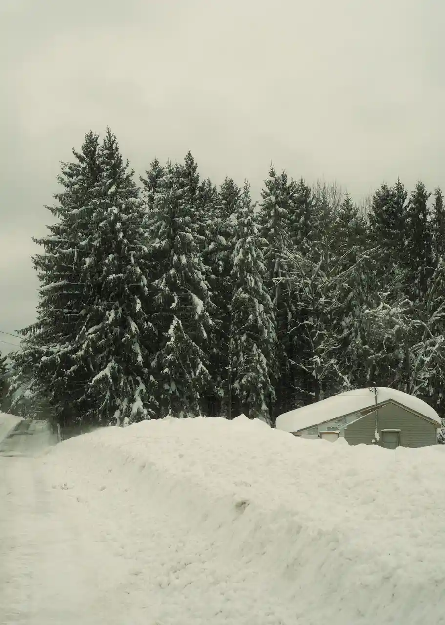 A snowy rural scene shows a small shed partially buried under deep snowdrifts, with snow-covered evergreen trees in the…