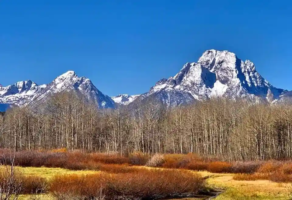 A scenic landscape photo shows snow-capped mountains under a clear blue sky, with a foreground of bare trees and…