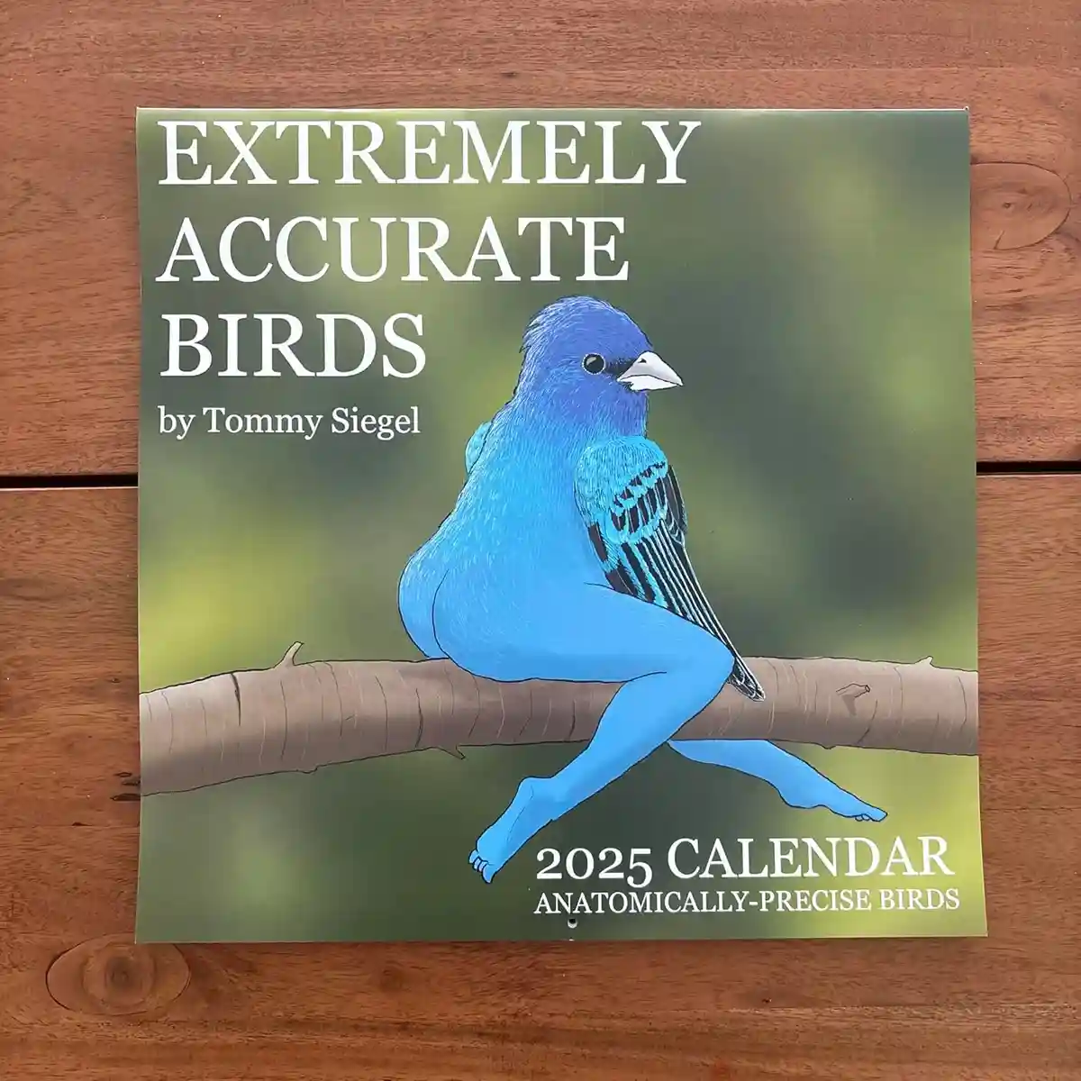 A 2025 bird calendar cover titled 'EXTREMELY ACCURATE BIRDS' by Tommy Siegel, featuring a blue bird with human legs and feet…