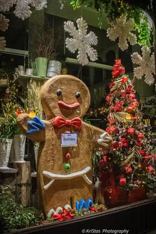 The Adventures of the Gingerbread Man