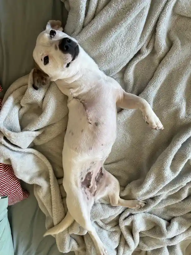 Meet My Adorable Tripod Baby!