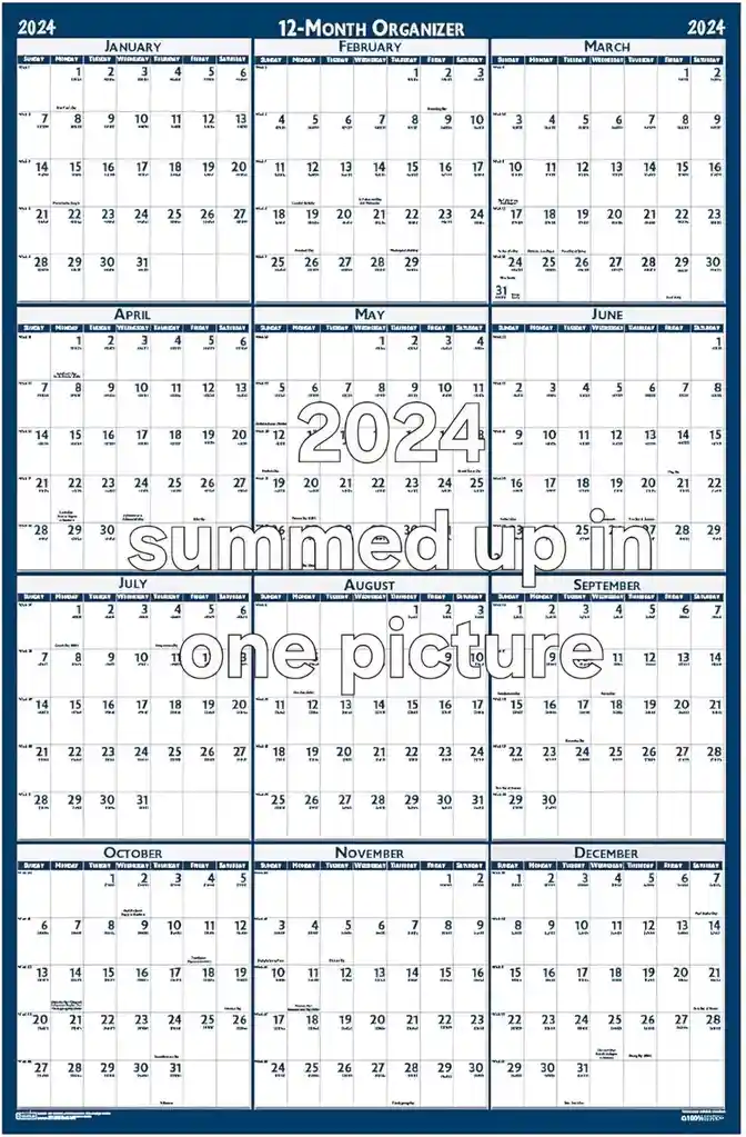 A Snapshot of Everything 2024 Has to Offer