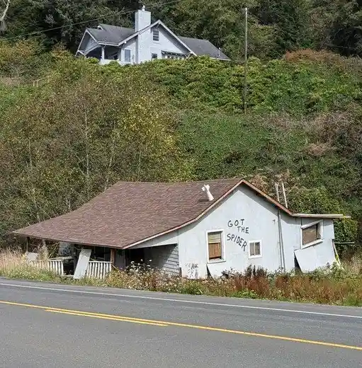 A dilapidated, leaning white house with a brown roof sits beside a road, surrounded by overgrown vegetation and trees. The…