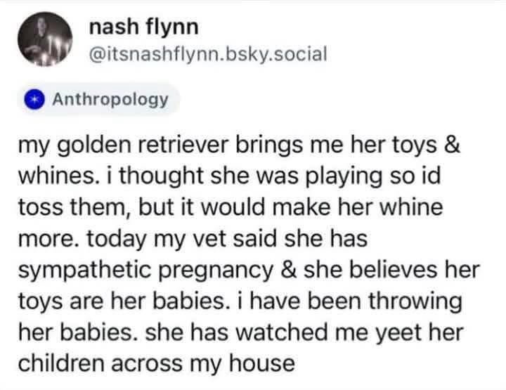 A screenshot of a social media post by 'nash flynn' detailing a humorous anecdote about their golden retriever bringing toys…