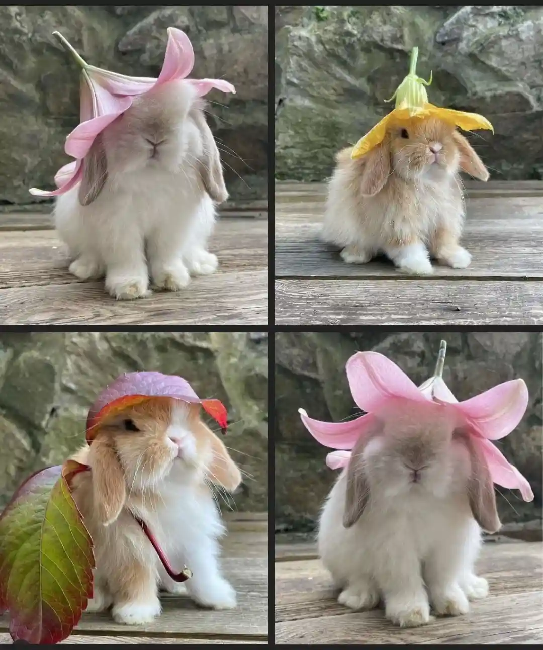 Adorable flower buns.