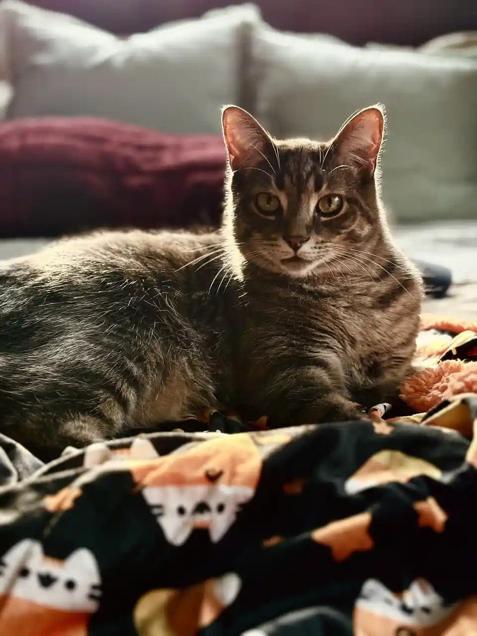 Adorably Dangerous: Cute but Deadly