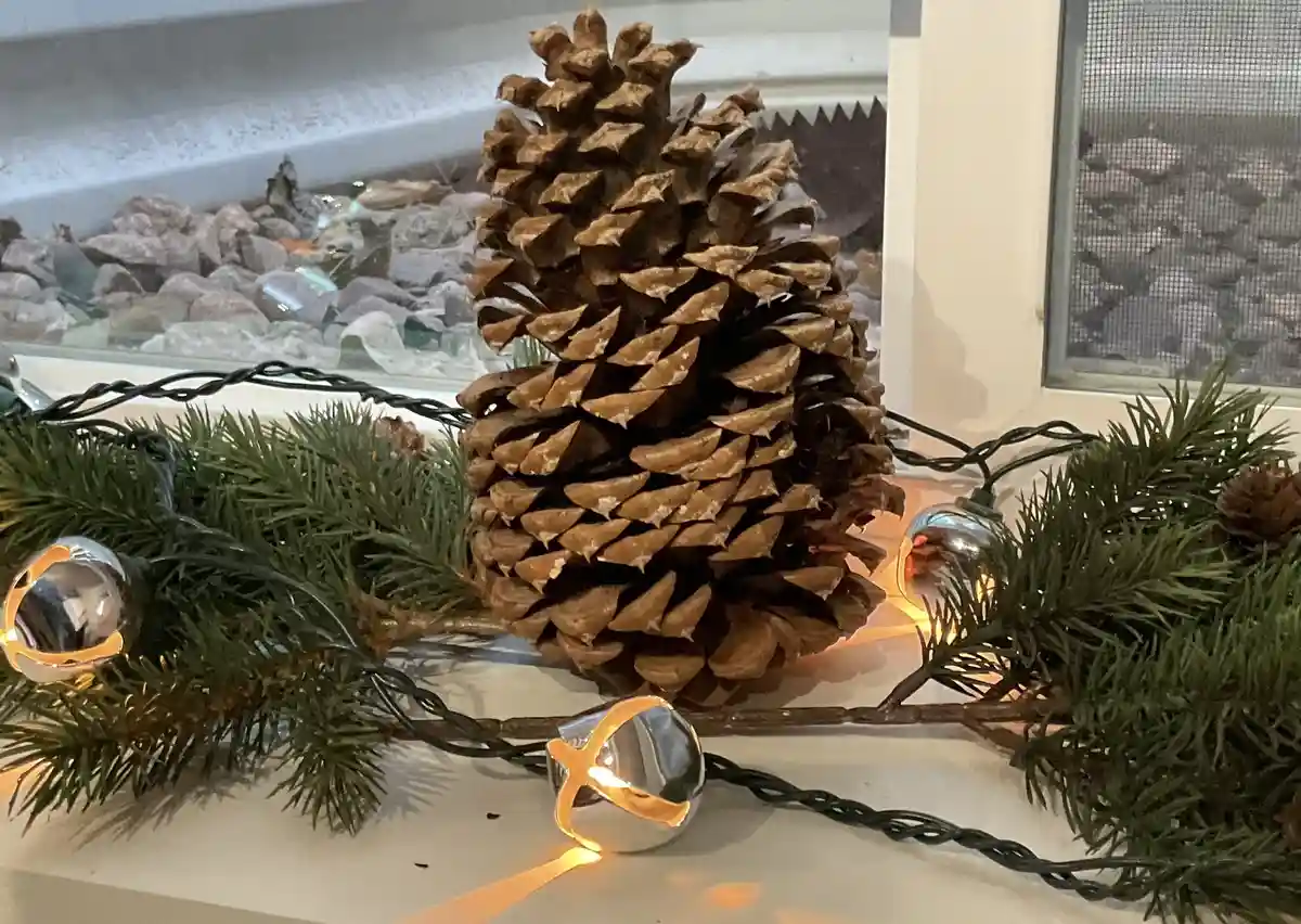 A large, brown pine cone sits on a windowsill surrounded by green pine branches and lit silver bell-shaped Christmas lights…